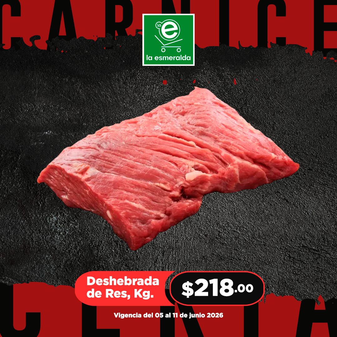 CARNICERIA WEB 1
