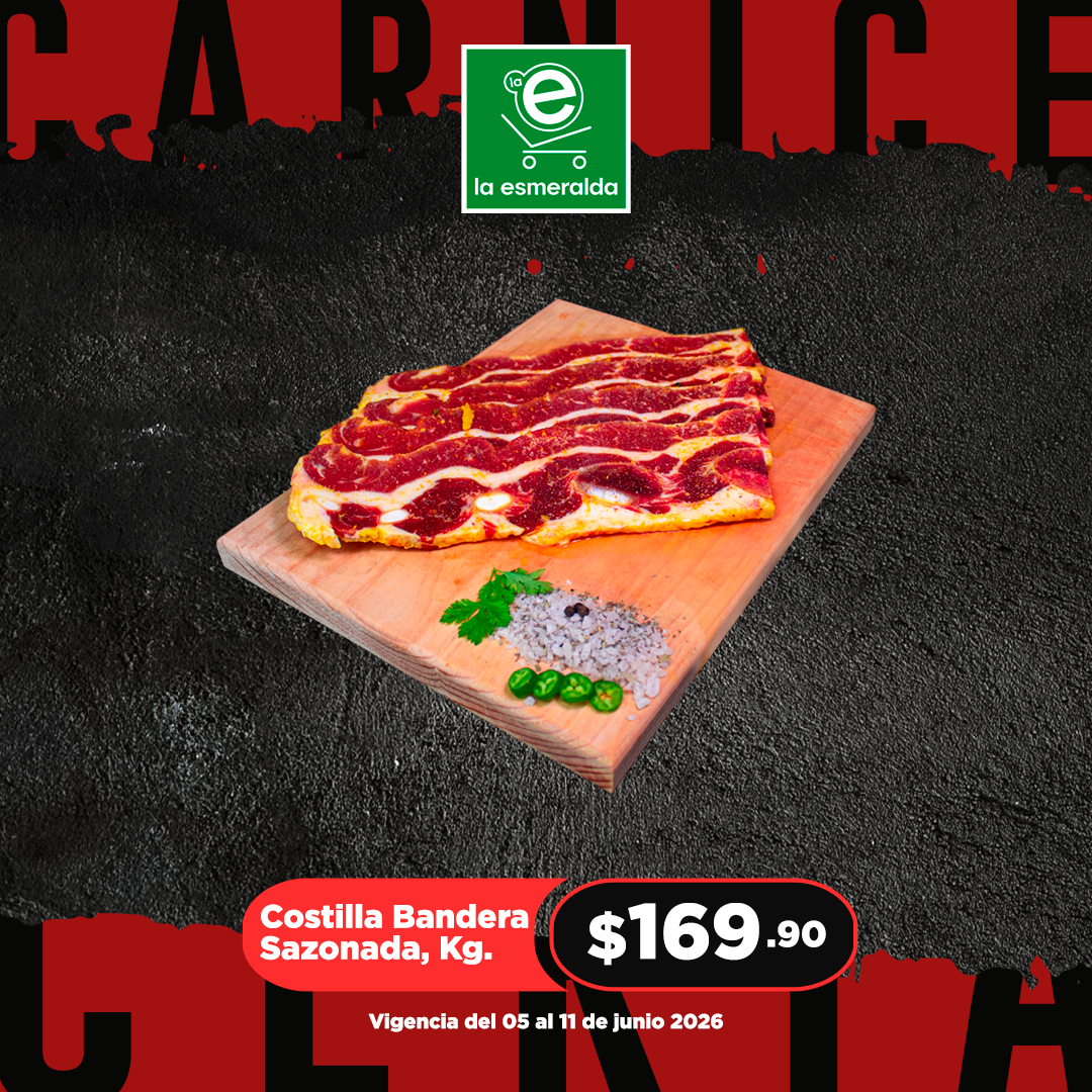 CARNICERIA WEB 5