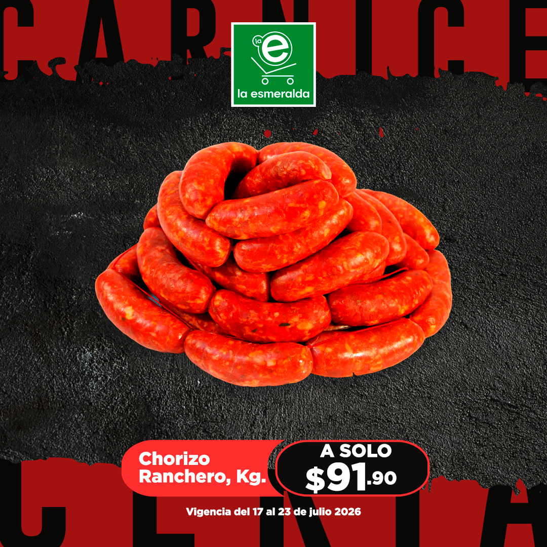 CARNICERIA WEB 10 2